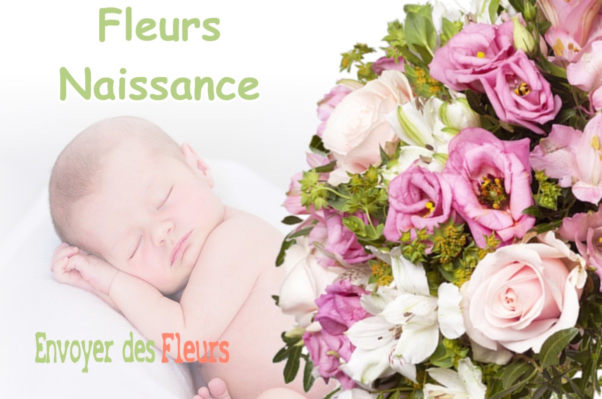 lIVRAISON FLEURS NAISSANCE à RYE